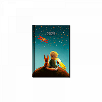 Praktik denný diár PRINC 2025