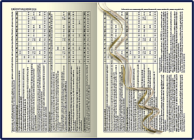 Denný diár A5 ART MUCHA 2026 3