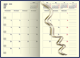 Denný diár A5 ART LAPAČ SNOV 2026 2