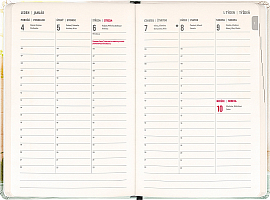 NOTIQUE 18-mesačný diár Petito – Kapybara 2026/2027, 11 x 16 cm 1