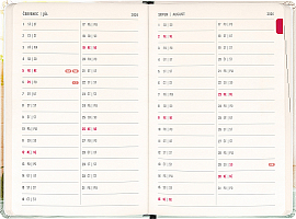 NOTIQUE 18-mesačný diár Petito – Kapybara 2026/2027, 11 x 16 cm 3