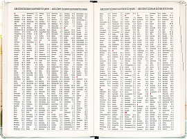 NOTIQUE 18-mesačný diár Petito – Kapybara 2026/2027, 11 x 16 cm 6